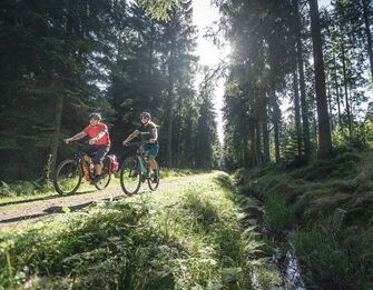 Zwei Radfahrer fahren auf einem Waldweg neben einem Wasserkanal. (Vergrößerte Ansicht)