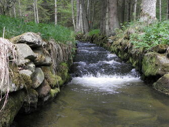Wanderweg im Wald neben einem Wasserkanal. (Vergrößerte Ansicht)